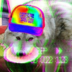 Станислав Кимов, 20.06.1989, Wien