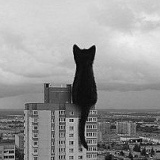 Дмитрий Майер, 20.08.1991, Montegiardino