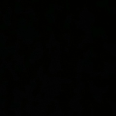 Эмиль Сафарян, 26.11, Санкт-Петербург