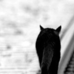 Наталья Аранзаева