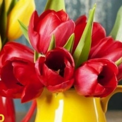 Светлана Лаврентьева, 07.11, Москва