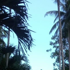 Антон Третьяков