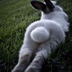 Дмитрий Кудрявцев, 17.01.1991, Москва