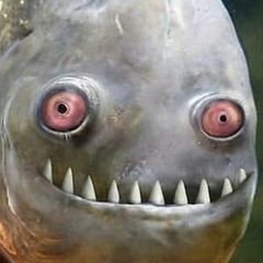 Сергей Демешко, 02.08.1985, Пятигорск