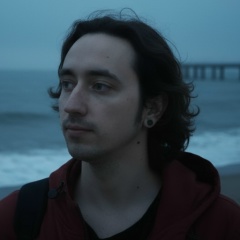 Василий Никулин, Шадринск