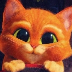 Алёша Попович, 29.02.1992