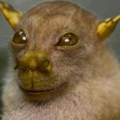 Андрей Петров, 05.10.1985, Москва