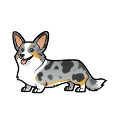 Рита Нижегородова, 05.05.1986, Нижний Новгород