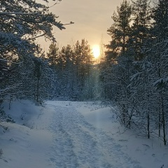 Константин Шапошников, 04.12.1987