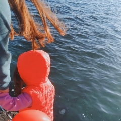 Гринго Лучанго, 18.06.1980, Николаев