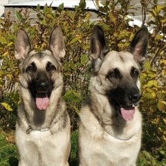 Виктория Виктория, 13.08.1983, Санкт-Петербург