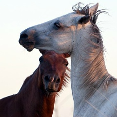 Майя Розина, 01.05, Санкт-Петербург