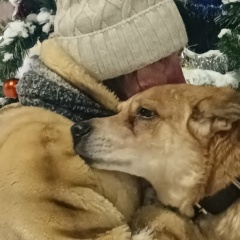 Татьяна Липницкая, 16.05, Санкт-Петербург