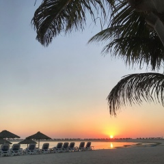 Владимир Рожков, 31.01.1987, Москва