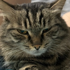 Людмила Ойдупова, 11.11, Чита