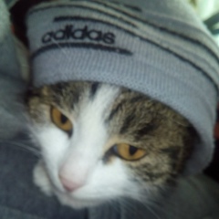 Jenya Belimov, 22.12, Tokyo