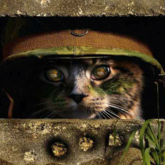 Dmitry Osipov, 10.09.1987, Москва