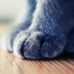 Yana Nes, Москва