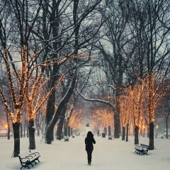 Настенька Шамеева