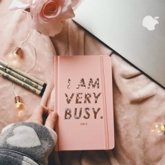 Индира Надирбегова, 14.06.1986