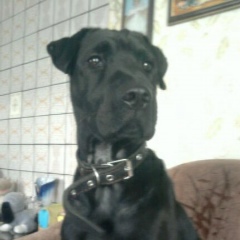 Наталья Кубракова, Бобруйск