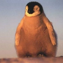 Олег Платонов, 18.09, Рязань