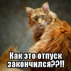 Анета Кашежева