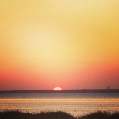 Кети Меладзе, 02.12