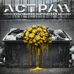 Антон Вилинский, 19.04.1982, Запорожье