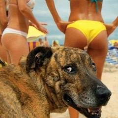 Дмитрий Великий, 06.03, Минск