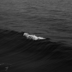 Надежда Семенкова, Рязань