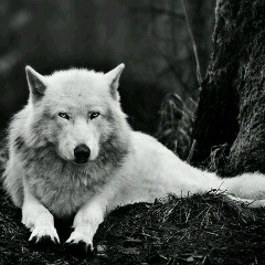 Уркен Нуранов, 19.11, Актобе