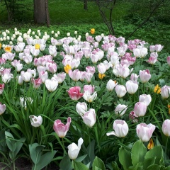 Наталия Вольская, 15.09, Санкт-Петербург