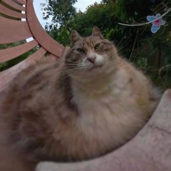 Павел Георгица, 06.12.2000, Кишинев