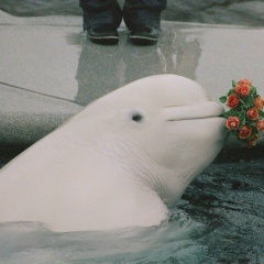 Ruslan Maltsev, 10.07.1992