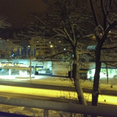 Saule Asar, 04.08, Алматы