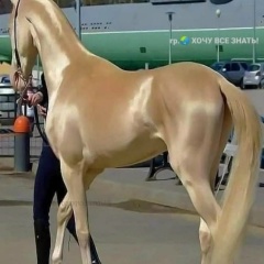 Айбар Кадірбай, 28.10.1990, Астана