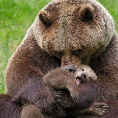 Тот Самый, 09.03, Москва