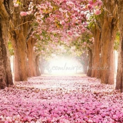 Виктория Осетрова, 11.05.1978, Крест-Кытыл