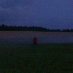 Алёна Колесникова, 20.03.1988, Санкт-Петербург