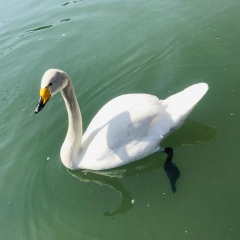 Hardik Bapu, 22.03, Бишкек