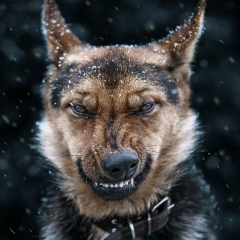 Александр Волков, 04.10.1988, Санкт-Петербург