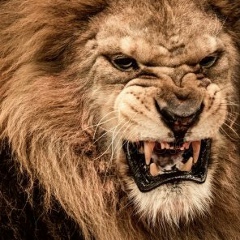 Альберт Шебзухов, 12.10, Нальчик