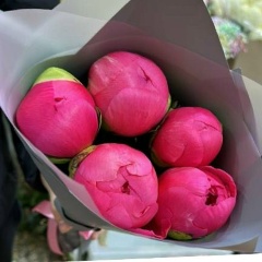 Нургуль Нурманбетова