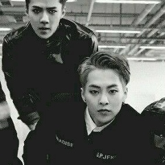 Crazy Exo-L, 31.05, Busan