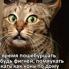 Олег Глинянов, 15.10, Москва
