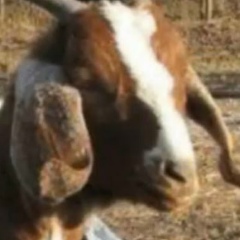 Кирилл Владимирович, 28.06