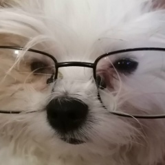 Денис Кубарев, 29.12.1977, Большой