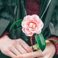 Ahmed Salah, 28.06, Cairo