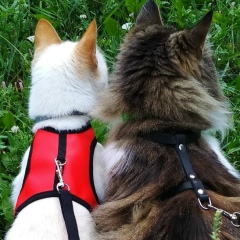 Полина Филатова, 22.07, Москва